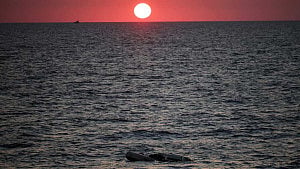 42 migrants presumed dead after boat capsises off Libya