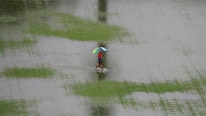 Malaysian floods affect 11,000 people