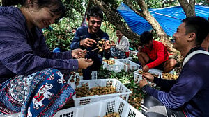 Myanmar refugees join Thai workforce