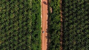 Thousands protest against Indonesia’s Riau palm oil takeover