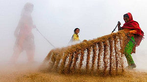 Bangladesh’s Tanveer Rohan wins 3rd at Doha Photography Award 2025