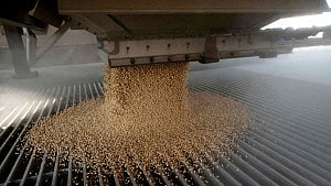 China buys 10 US soybean cargoes in new deals