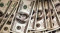 Dollar jumps on rate hike bets