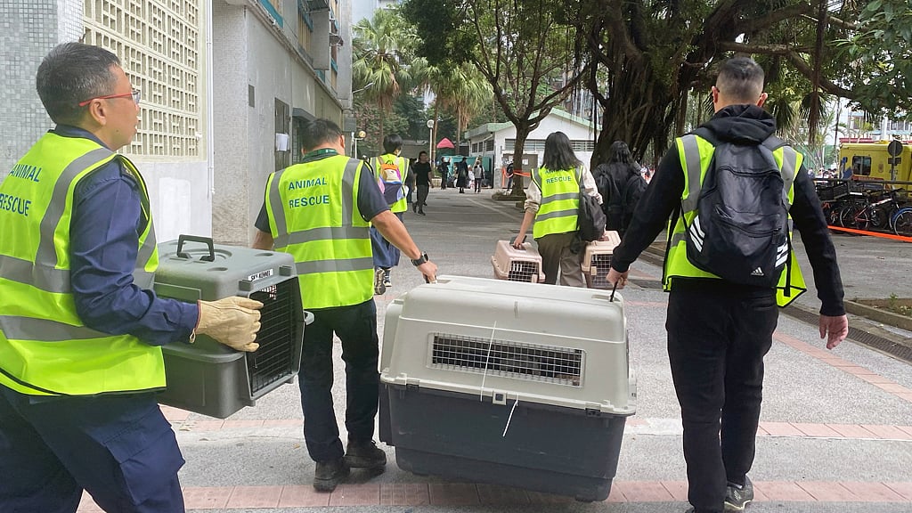 A team from the Society for the Prevention of Cruelty to Animals (SPCA) arrives with pet carriers to Wang Fuk Court housing complex, where a major fire erupted, in Hong Kong, China Nov 27, 2025. REUTERS/Jessie Pang