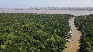 Brazil's Indigenous battle with a dry Amazon rainforest