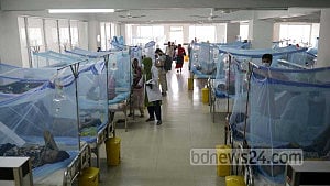 Dengue: 3 deaths, 857 hospitalised
