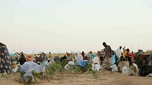 Hundreds killed, disappeared as Sudanese city falls to paramilitaries