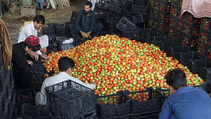 Winter, aid cuts worsen Afghan hunger crisis
