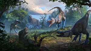 Nanotyrannus was not just a teenage T-Rex