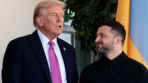 Trump urged Zelensky to cut a deal with Putin: FT