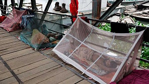Bangladesh battles rising tide of dengue, chikungunya