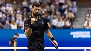 Alcaraz, Djokovic set up blockbuster US Open semi-final