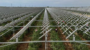China enlists solar panels in war to halt desert sands