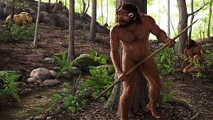 Ancient Chinese skull could reshape human evolution timeline