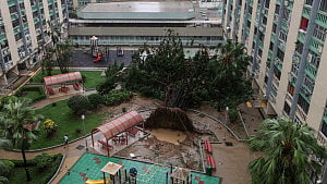 Hong Kong reopens after world's most powerful cyclone Ragasa