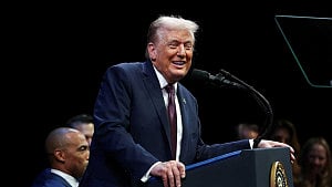Top US court backs Trump on immigration raids
