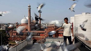 Mughal-era pigeon rearing thrives in India’s capital