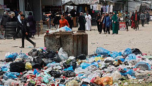 Rats infest Gaza's tent camps