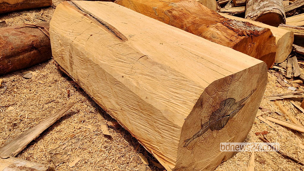 Large trees from the Parabon forest have been cut and squared into timber blocks.