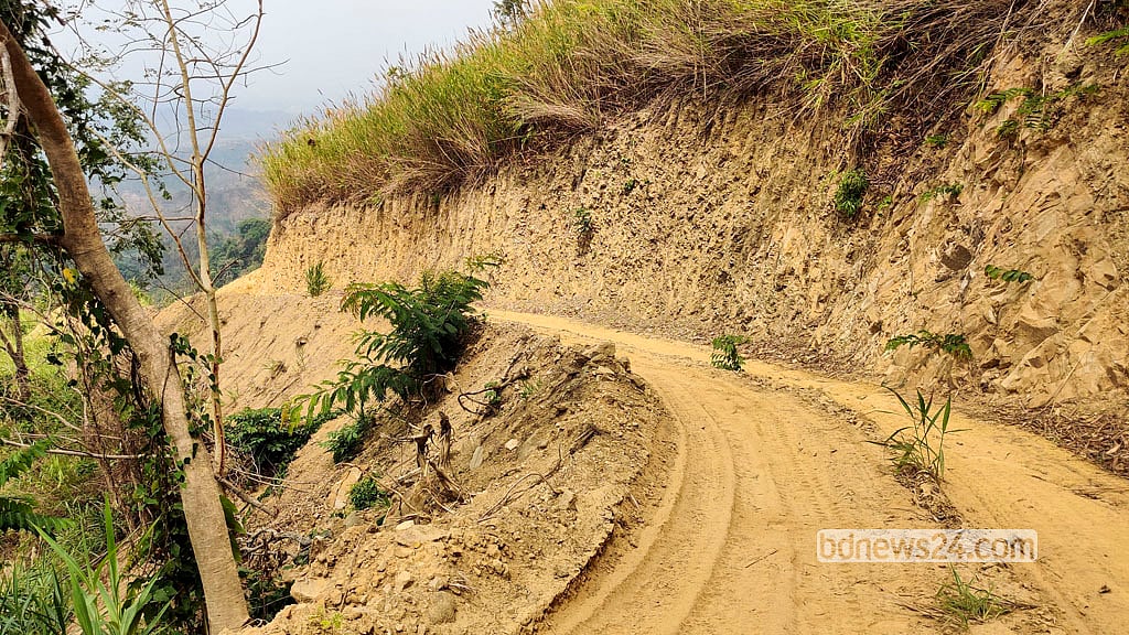 Hillside terrain has been cut to create makeshift roads for transporting timber.