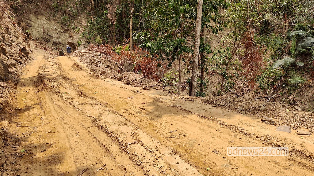 Timber is being transported along the Alikadam–Thanchi road near the 23-kilometre mark, covered with tarpaulin.