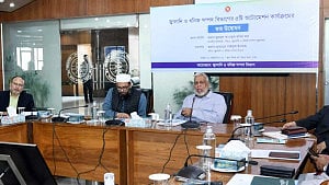 Interim govt defers dealing with power, energy graft to next govt