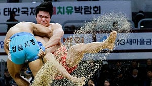 Traditional Korean wrestling fights for survival