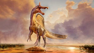 Fossils of a new species of dinosaur unearthed in Niger