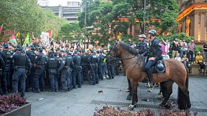 Herzog visit sparks protests in Australia