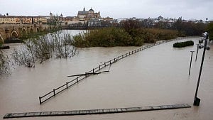 Storm Marta wreaks havoc on crops in Spain and Portugal