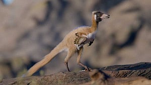 Fossil of tiny dinosaur found in Argentina