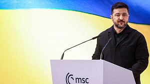 Trump exerting undue pressure: Zelensky