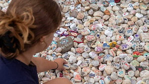 Bondi shooting: Australia set to pass tougher gun control laws