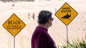 Shark fears close dozens of Australian beaches