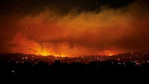 Australian bushfires destroy homes, trigger blackout