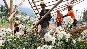 Indonesia landslide death toll hits 34, 32 still missing