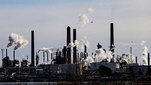 World Bank predicts steady 2026 growth despite tariffs