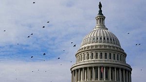 US Senate blocks efforts to rein in Trump war powers