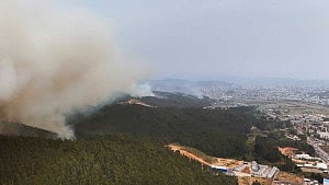 Chile wildfires leave 19 dead
