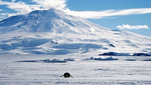 Why Antarctica iced over first