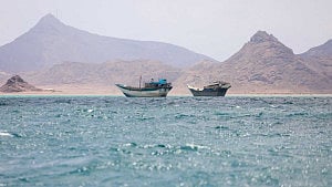 China in touch with Houthis to allow ships through Red Sea