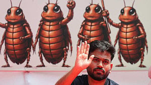 Court orders Cockroach Party back on X