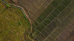 Africa facing $10-20bn hit from 'super' El Niño, AfDB warns