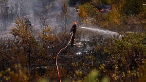 France logs over 5,700 excess heatwave deaths