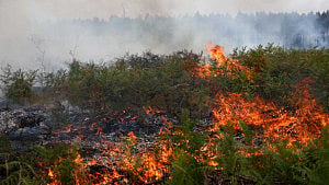 Bordeaux evacuated as winds fan Spanish blazes