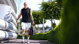 The Birkin Viking