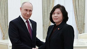 Putin meets N Korea's top diplomat in Kremlin