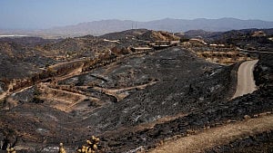Spain identifies 9 victims of deadly wildfire