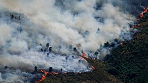 Spain declares emergency over wildfires