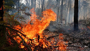 Tens of thousands evacuate French wildfires